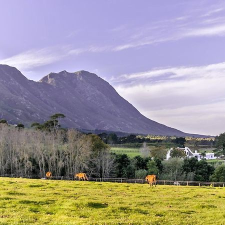 Hemel 'N Aarde Stud Hotel Hermanus Kültér fotó