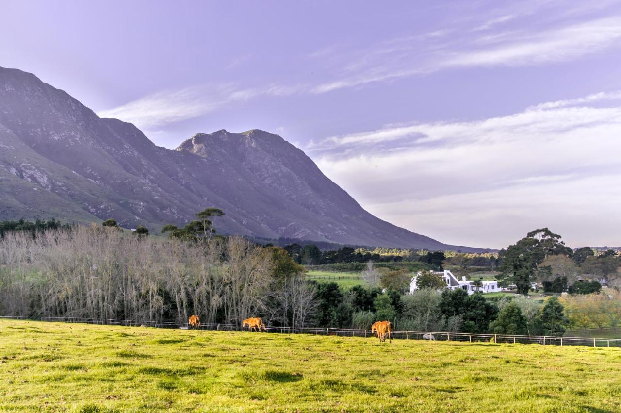 Hemel 'N Aarde Stud Hotel Hermanus Kültér fotó