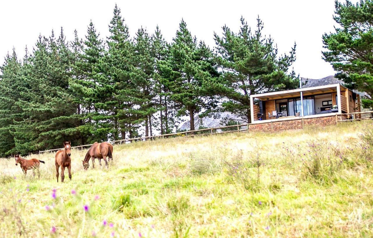 Hemel 'N Aarde Stud Hotel Hermanus Kültér fotó