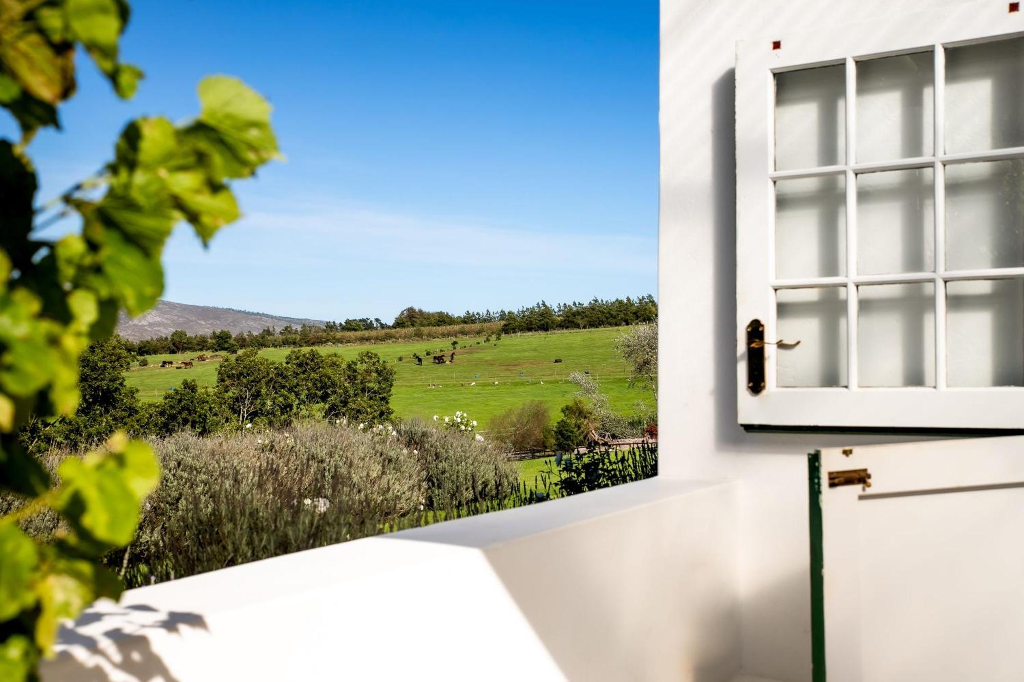 Hemel 'N Aarde Stud Hotel Hermanus Kültér fotó